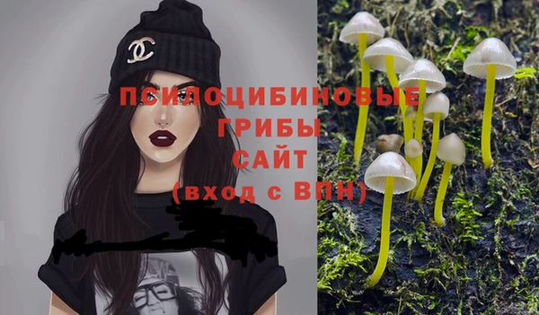 а пвп мука Богородицк