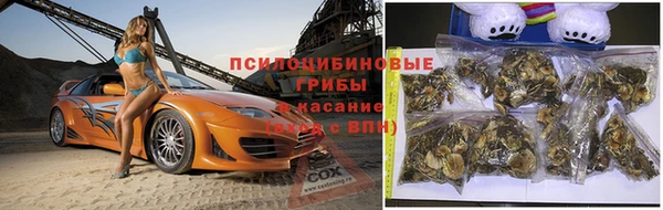 МДПВ Сатка