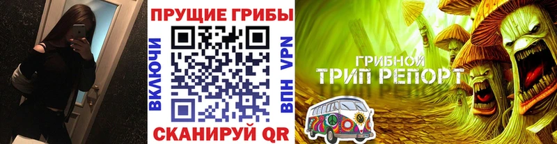 Псилоцибиновые грибы Magic Shrooms blacksprut ссылка Малая Вишера